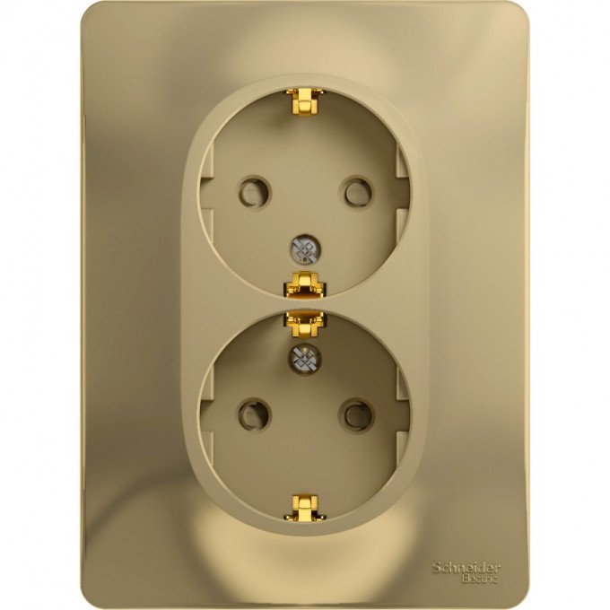 Розетка двойная SCHNEIDER ELECTRIC GLOSSA с заземлением, со шторками, в сборе, титан GSL000426