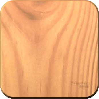 1-клавишный выключатель SCHNEIDER ELECTRIC BLANCA с самовозвратом, с изолирующей пластиной, 10А, ЯСЕНЬ