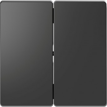 Клавиша двойная MERTEN D-LIFE, АНТРАЦИТ Клавиша двойная MERTEN D-LIFE, АНТРАЦИТ