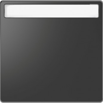 Клавиша одинарная MERTEN D-LIFE с полем для надписи, АНТРАЦИТ Клавиша одинарная MERTEN D-LIFE с полем для надписи, АНТРАЦИТ