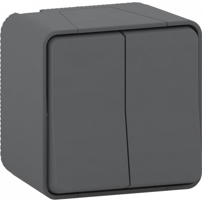 Переключатель SCHNEIDER ELECTRIC MUREVA S 2-клавишный, в сборе, О/У сх. 6+6 , антрацит, IP55 MUR35022