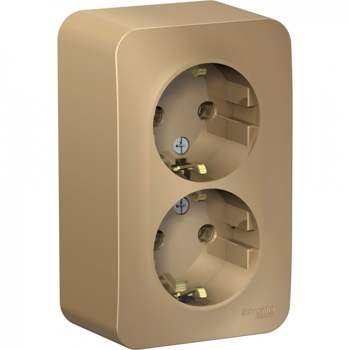 Розетка двойная SCHNEIDER ELECTRIC BLANCA с заземлением, без шторок, с изолирующей пластиной, 16А, 250В, титан BLNRA010214