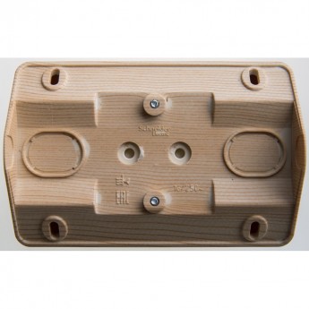 Розетка двойная угловая SCHNEIDER ELECTRIC ЭТЮД с заземлением со шторками 16А, СОСНА, Россия Розетка двойная угловая SCHNEIDER ELECTRIC ЭТЮД с заземлением со шторками 16А, СОСНА, Россия