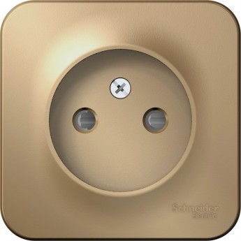 Розетка SCHNEIDER ELECTRIC BLANCA без заземления, со шторкой, с изолирующей пластиной, 16А, 250В, титан