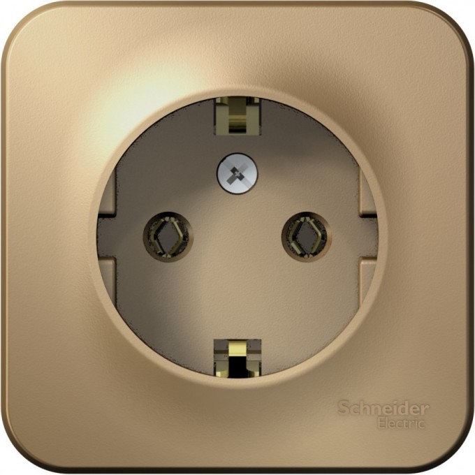 Розетка SCHNEIDER ELECTRIC BLANCA с заземлением, без шторок, с изолирующей пластиной, 16А, 250В, титан BLNRA010114