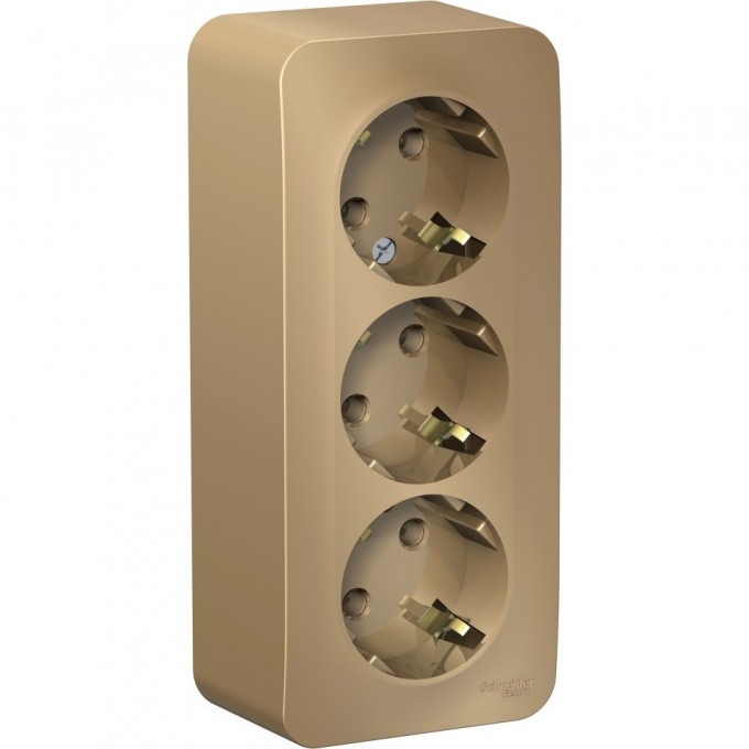 Трёхместная розетка SCHNEIDER ELECTRIC BLANCA с заземлением, без шторок, с изолирующей пластиной, 16А, 250В, ТИТАН BLNRA010314