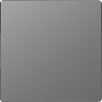 Заглушка SCHNEIDER ELECTRIC MERTEN D-LIFE, СТАЛЬ Заглушка SCHNEIDER ELECTRIC MERTEN D-LIFE, СТАЛЬ